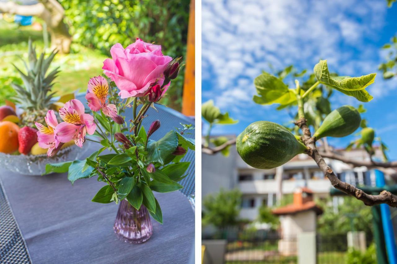 Motovunska 39A Apartment Porec Ngoại thất bức ảnh